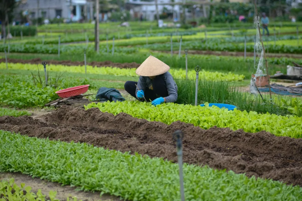 Nông sản khách chọn nhiều