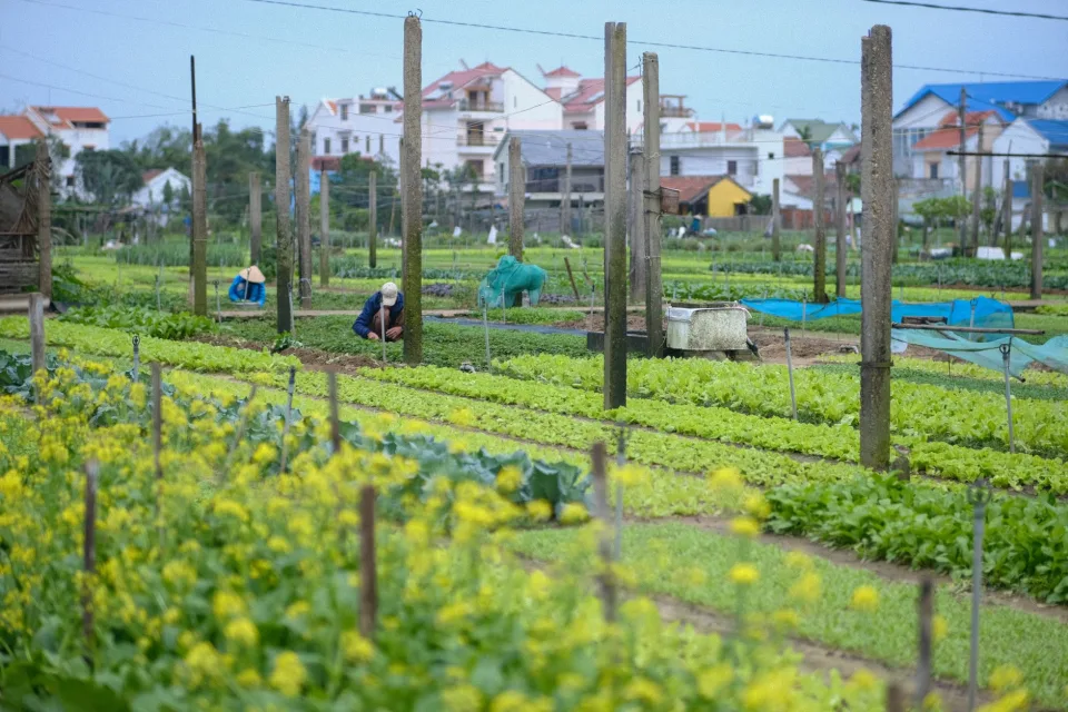 Nông sản khách chọn nhiều